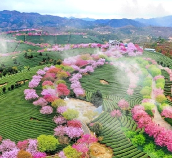 NEW SHAN TRAVEL