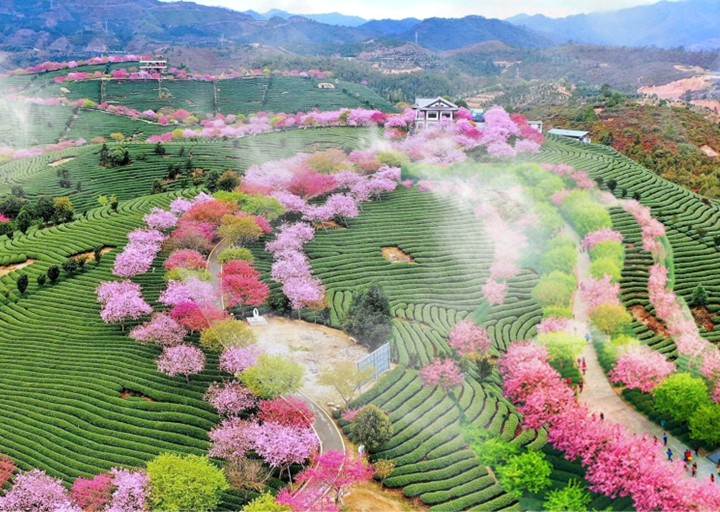 NEW SHAN TRAVEL
