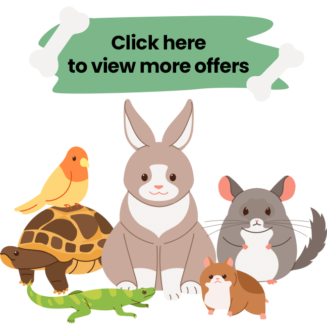 Click here to see more